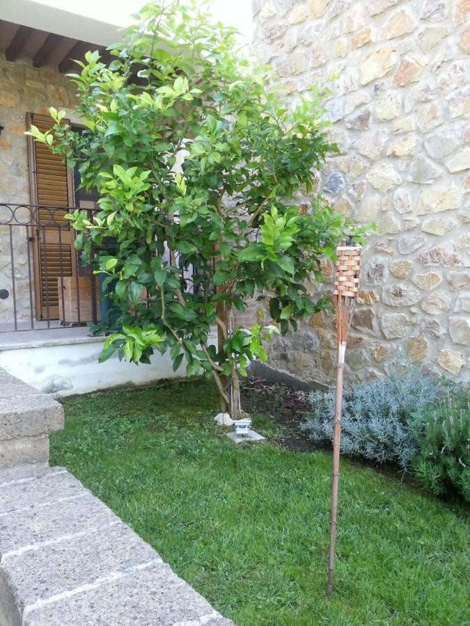 Il Poggio Da Leo Apartamento Capanne Exterior foto